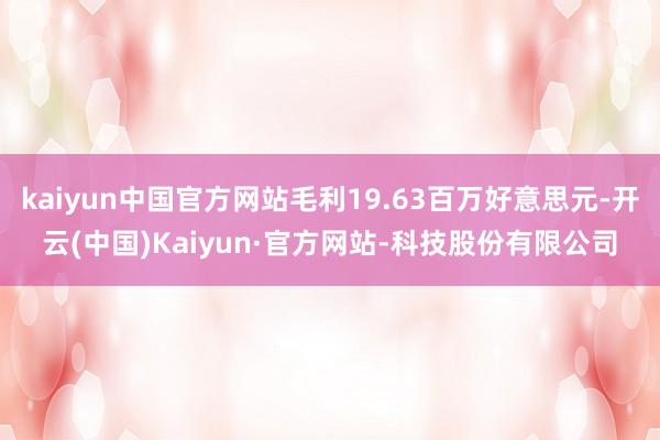 kaiyun中国官方网站毛利19.63百万好意思元-开云(中国)Kaiyun·官方网站-科技股份有限公司